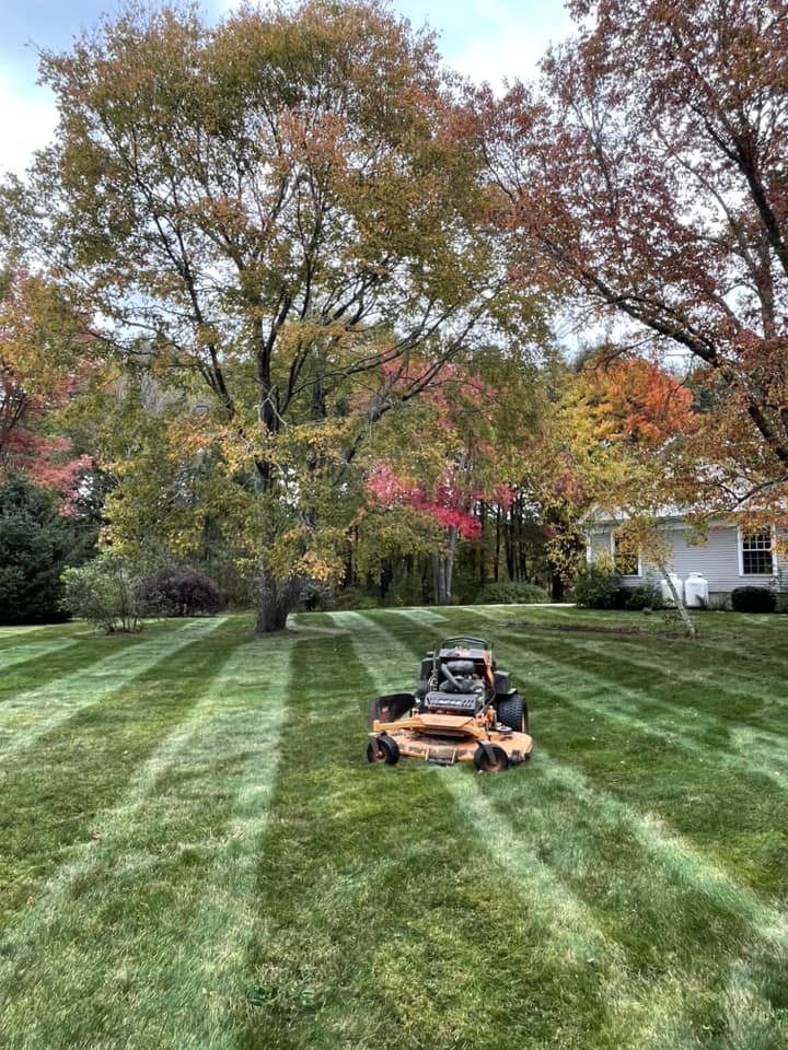 land clearing and landscape services